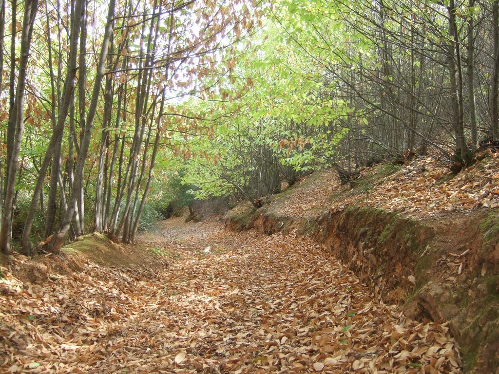 La Nueva Andalusi Vila Cazalla de la Sierra Exterior foto